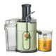 5-Speed 1000W Electric Juicer with Touch Screen - Sage Green