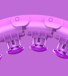 Lazy thin waist weight loss circle - Purple - 24 knots