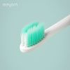 Sonic Electric Toothbrush - White