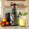 Wide Mouth Juice Extractor - Silver - Silver