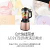 Royalstar Multifunctional High-speed Blender RZ-1308H Juicer 2000ML Grinder - Gold - PP+Glass+Staineless steel